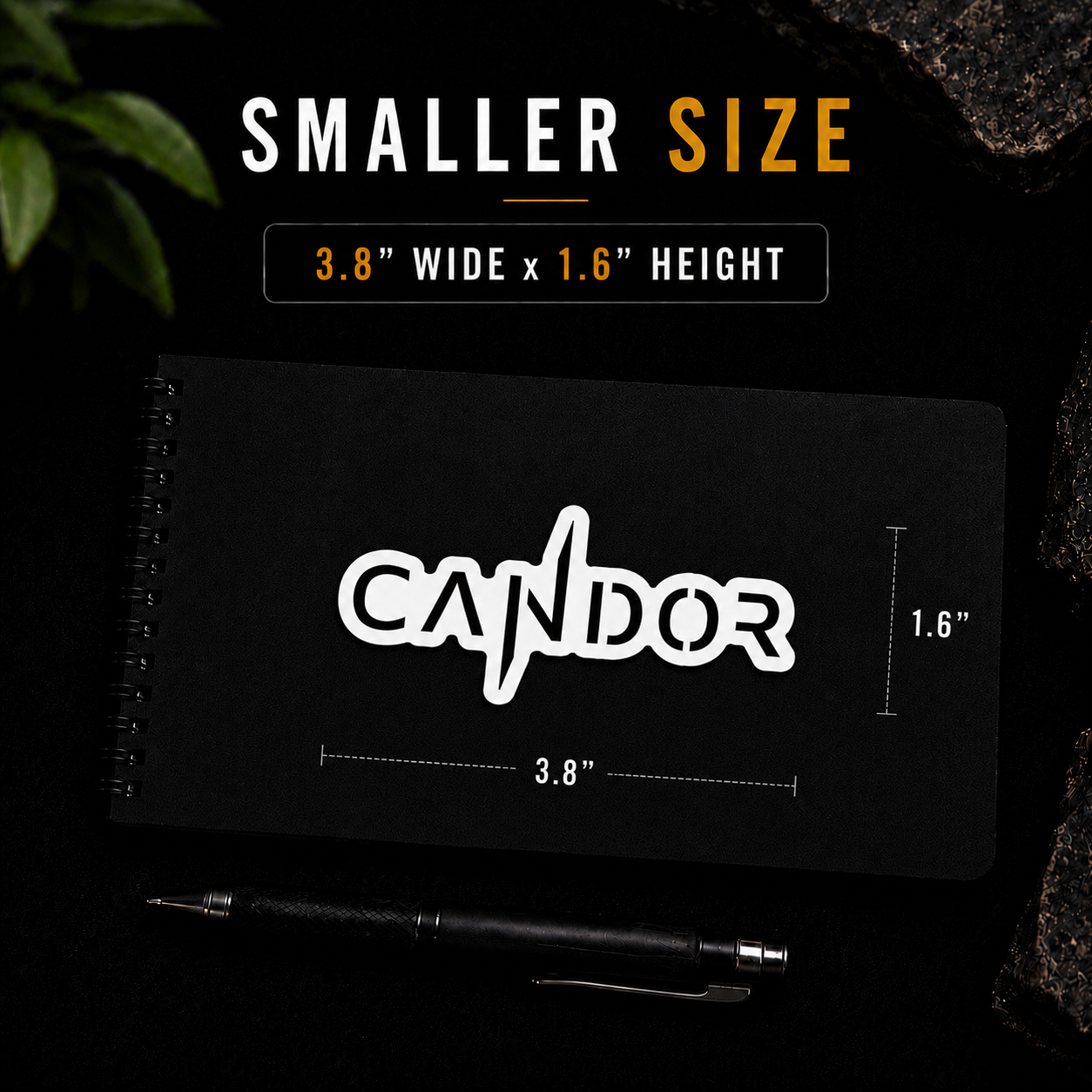Candor - Sticker